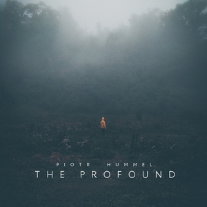 解密家庭监控视频在线观看
